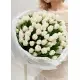 Букет из 75 белых тюльпанов (импорт, Голландия)