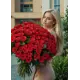 101 красная роза Днепр - БОМБА 101 красная роза Днепр - БОМБА