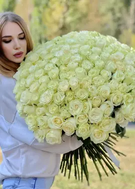 151 метровая роза Мондиаль