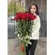 Голландские метровые розы  25 шт.